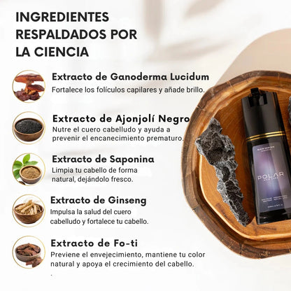 SHAMPOO TINTE INSTANTANEO